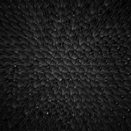 Black dragon skin background realistic squama N2