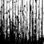 Wooden texture background Realistic plank Vector illustration N10