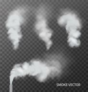Realistic smoke steam on transparent background Vector
