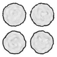 Set vector tree rings background and saw cut trunk