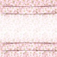 Pink card with apple flowers Vector eps-10