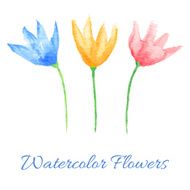 Watercolor Flowers N145