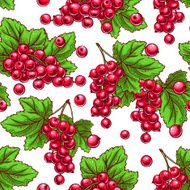 seamless red currants