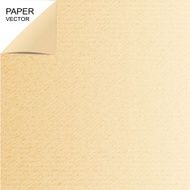 Background paper