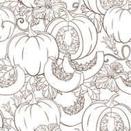 Vector botanical pattern with isolated pumpkins flowers and leaves N5