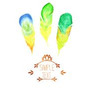 Watercolor feathers card vector