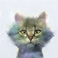 Cat oil painting