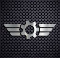 Metal gear with wings