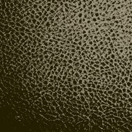 leather texture background N9
