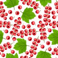 Seamless nature pattern with red currants