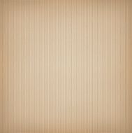 Cardboard N6