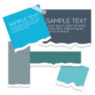 Torn Paper Background N3