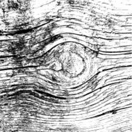 Wooden texture background N5