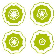 set of abstract green floral pattern icon for design N2