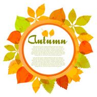 Autumn Background N175