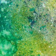 hand painted background with splatters of colorful paint
