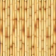 Bamboo N49