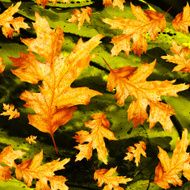 Seamless texture with colored watercolor maple leaves N7