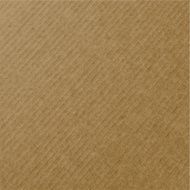 vector realistic cardboard texture