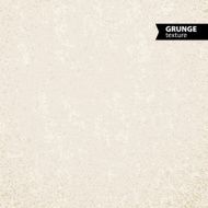 Abstract grunge background N23