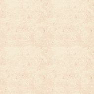 Old Paper Texture N3