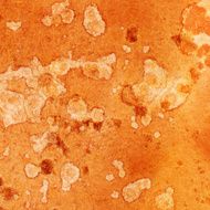 Splattered watercolor background with texture