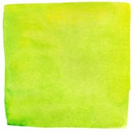 green lime watercolour square