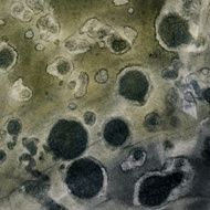 Dark green and black spotted grungy background N2