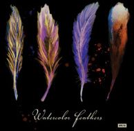 Watercolor set of feathers black background