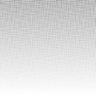 Light Canvas texture N2