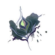 Watercolor feather Vector N4