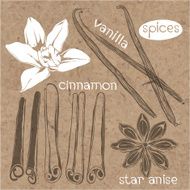 Spices Cinnamon vanilla and star anise Vector set hand drawn illustrations