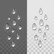 Vector Realistic Water Drops Set Isolated on Transparent Background