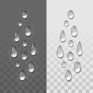 Vector Realistic Water Drops Set Isolated on Transparent Background N2