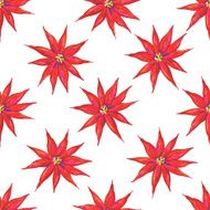Seamless pattern with Christmas flowers N2