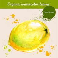 Vector watercolor hand drawn sour lemon with drops N2
