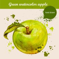 Vector watercolor hand drawn green apple with leaf and drops