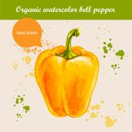 Vector watercolor hand drawn yellow bell pepper with drops