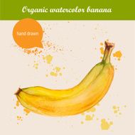 Vector watercolor hand drawn banana with drops