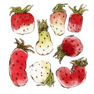 Strawberries Set N2