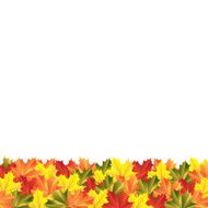 background autumn maple leaves N5