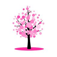 Blossom cherry tree N2