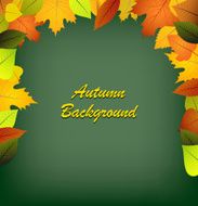 Autumn leaves on a green background