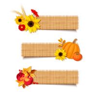 Vector autumn banners with pumpkins flowers and apples
