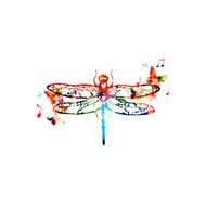 Colorful dragonfly design with butterflies N2