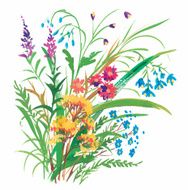 Watercolor flowers in classical style on a white background N5