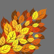 Autumn balckground N4