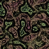 Alien skin N2