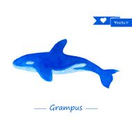 Blue grampus illustration Handdrawn watercolor whale