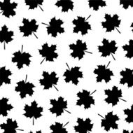 background autumn maple leaves N6